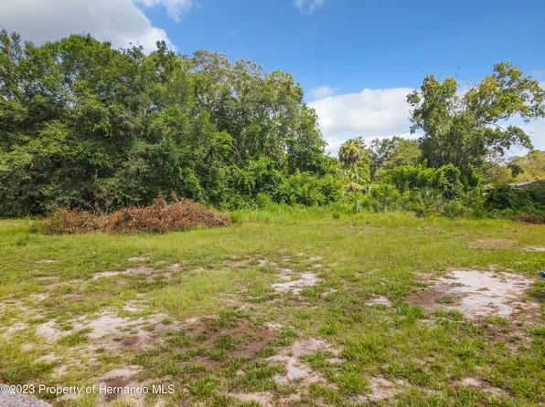 6438 Finance Ave, Spring Hill, FL 34607