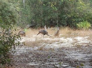 Deer Rd, Frostproof, FL 33843