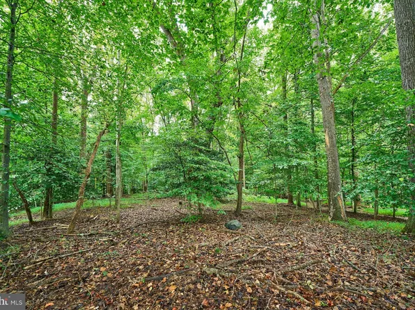 9113 Jeffery Rd, Great Falls, VA 22066