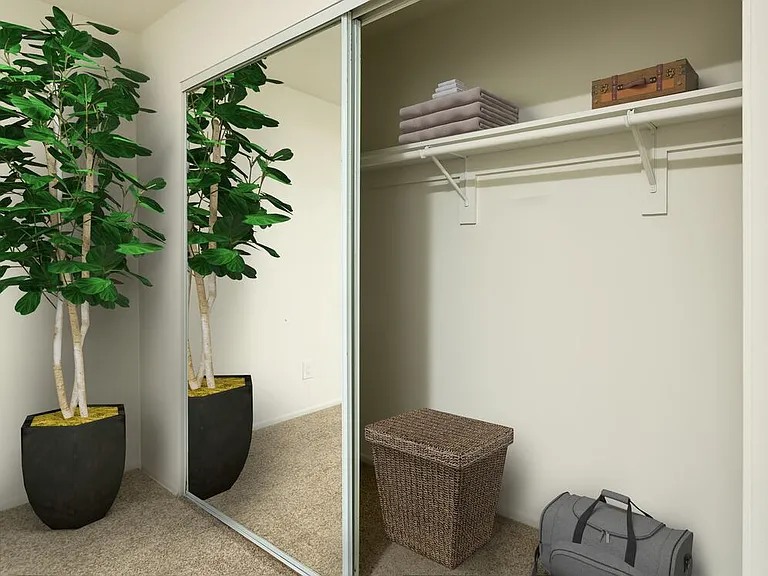 Renovated I closet