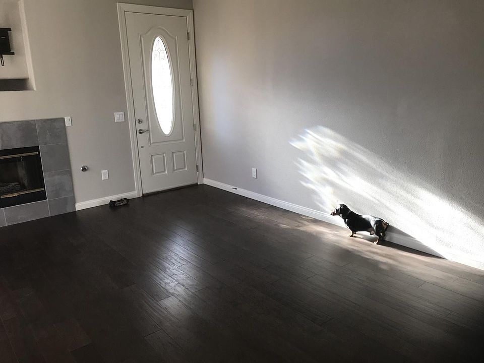 Front Door from Inside. My Weiner Dog. (Not Included)
