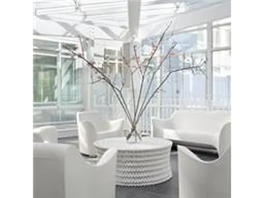 Rented by Douglas Elliman | media 17