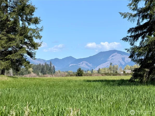 0 xxx W Forest Green Lane, Elma, WA 98541