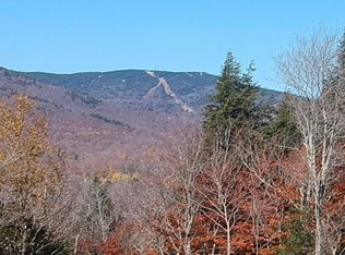 4 Ralph May Rd, Wilmington, VT 05363