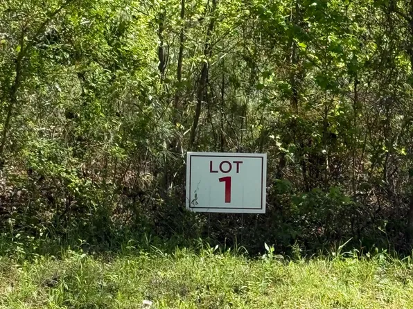 LOT 1 Fm 839 S, Henderson, TX 75654