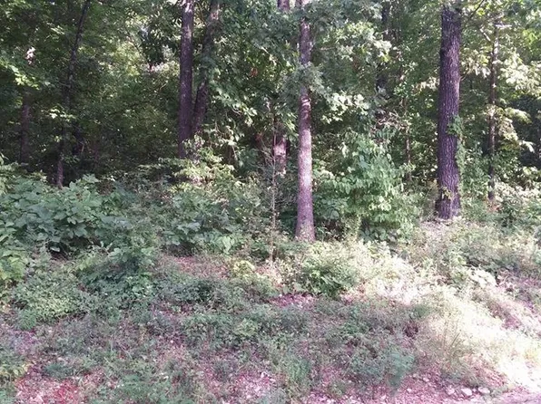 Saginaw Cir, Cherokee Village, AR 72529