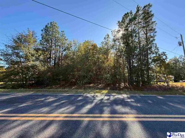 80 Holly Ave, Mc Bee, SC 29101