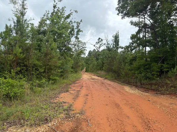 0 Pearce Chapel Rd, Smithville, MS 38870