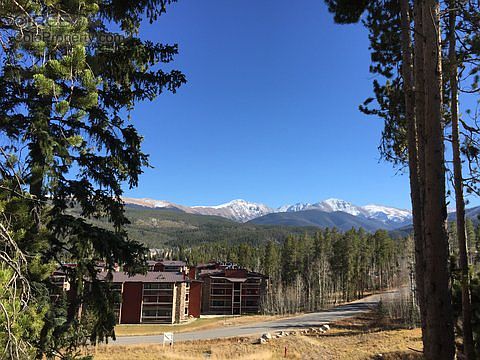 5th image of 422 Forest Trl