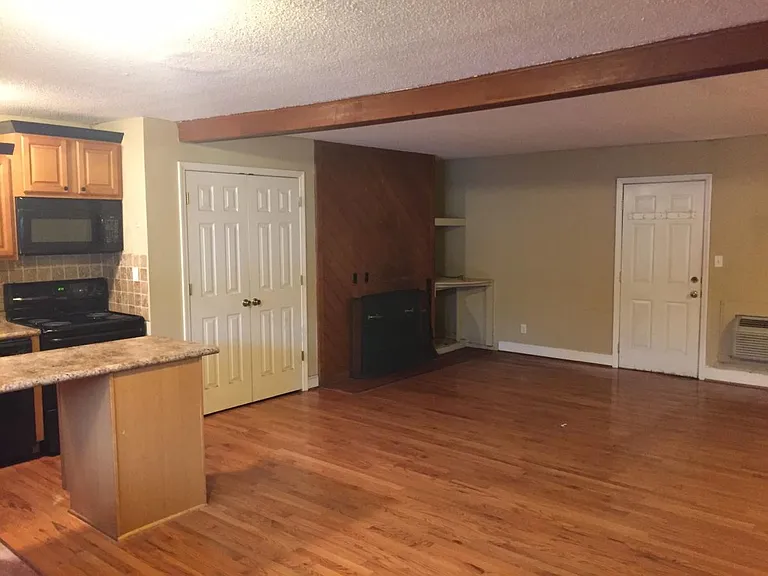 Wood burning fireplace. Back door leading to deck.