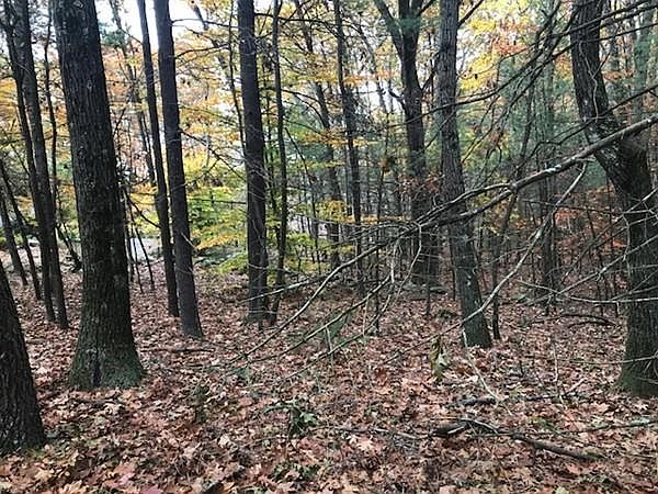 2nd image of 51 Gray Rd
