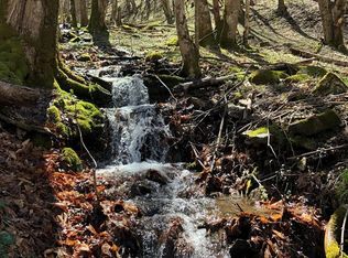 0 Hughes Gap Rd, Roan Mountain, TN 37687