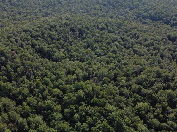 Antioch Rd, Cave City, AR 72521