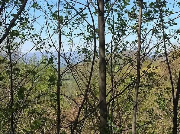 620 Blue Mist Way, Arden, NC 28704