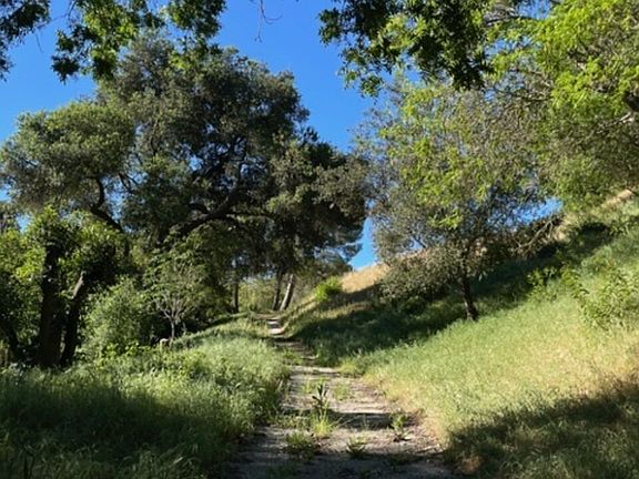 3rd image of 8813 Wonderland Ave