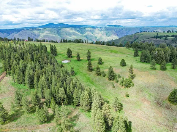 205 Burnt Creek Rd, Cottonwood, ID 83522