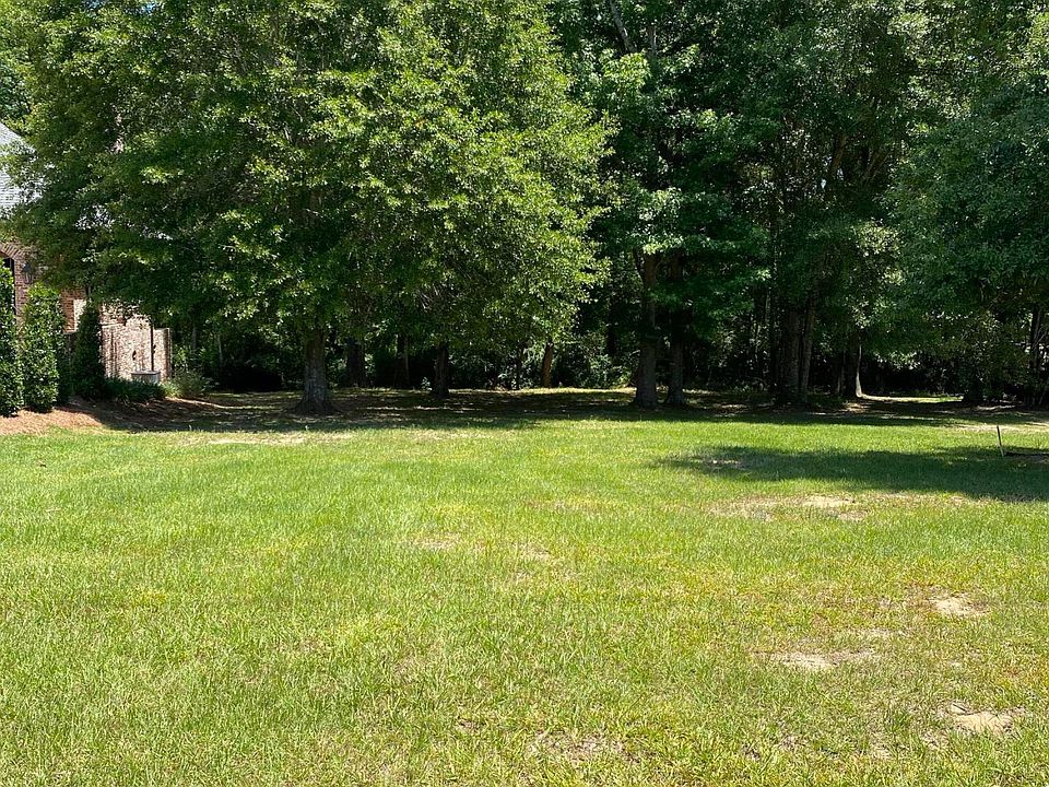 2nd image of 4 Pecan Acres
