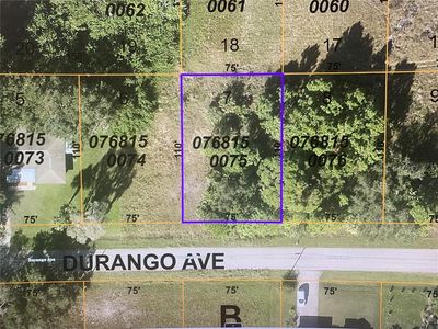 Durango Ave, North PORT, FL, 34287