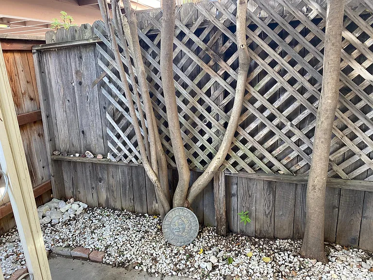 Patio has tiny secret treasures accumulated over the years while beachcombing and treasures from the desert_
