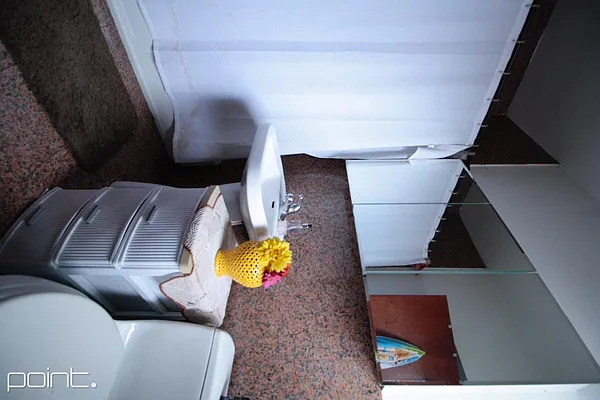 Rented by Point NYC | media 12