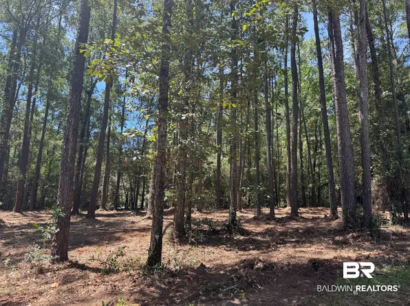 0 Bridgewood Ln #6, Daphne, AL 36527