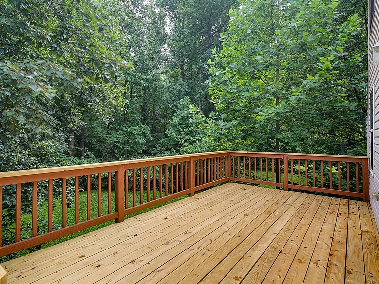 11543 Shell Flower Ln — Photo 34