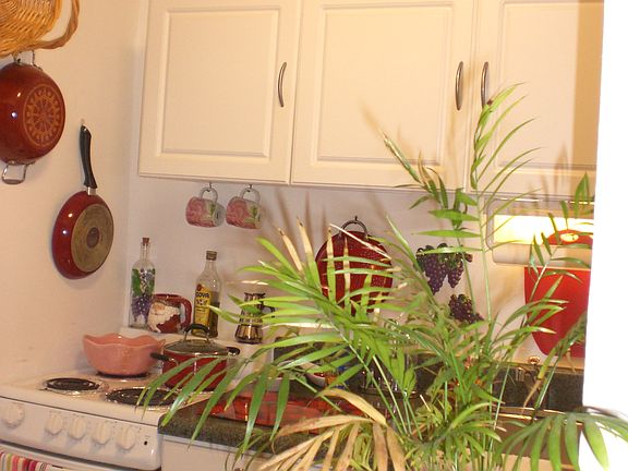 2nd image of 7904 West Dr APT 605