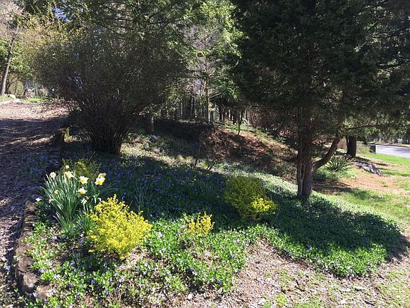 5th image of 705 Cedarview Dr