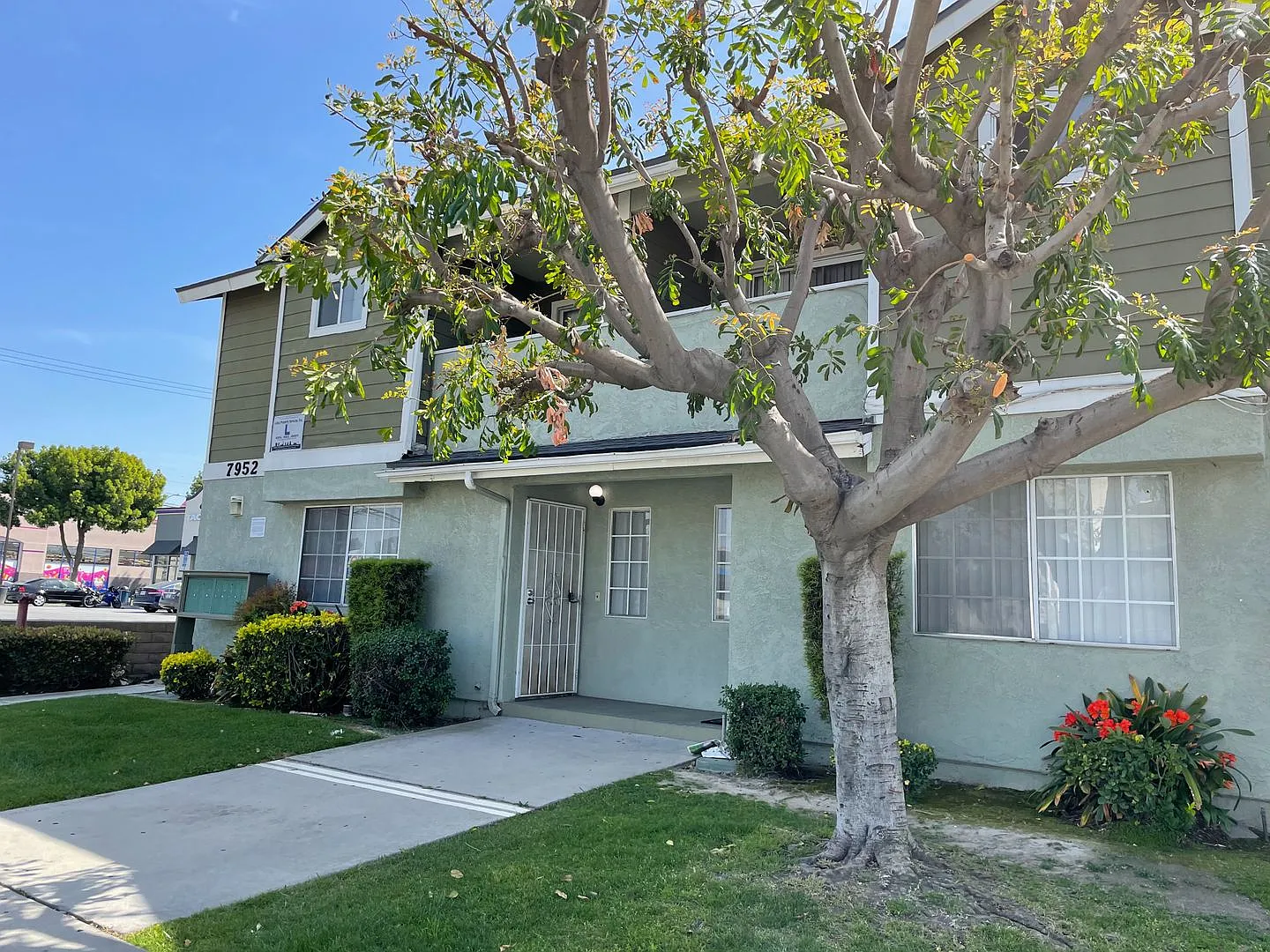 7952Stew — Photo 3