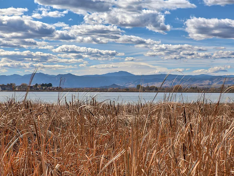 McIntosh Lake