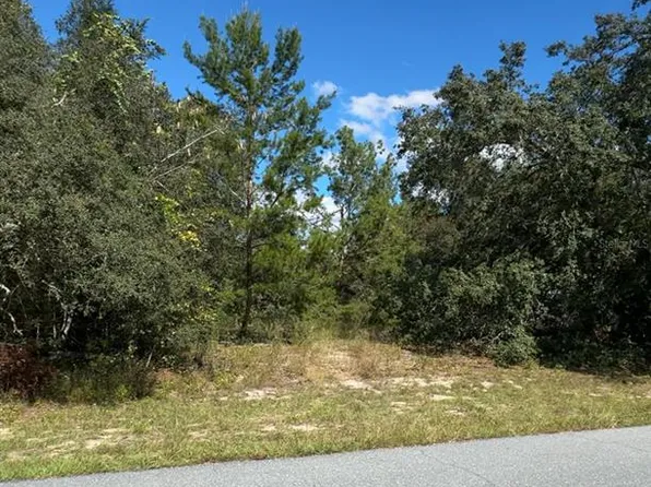 SW 166th St Lot 4, Ocala, FL 34473