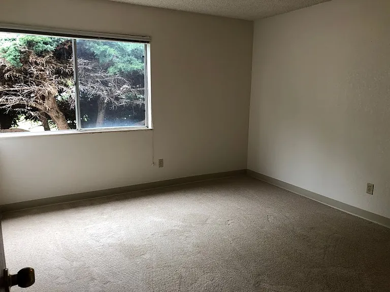 Will5110 — Photo 11