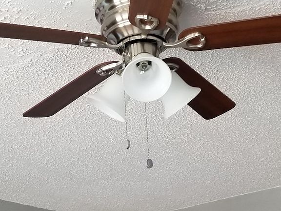 new ceilings fans