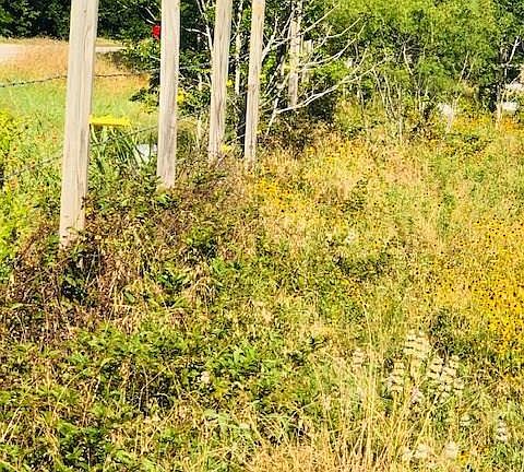 5th image of 19365 N Fm 487