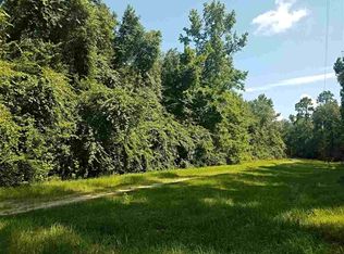 Vacant Ne River Ridge Way, Lee, FL 32059