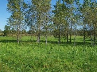 13053 White Oaks, Gaines, MI 48436