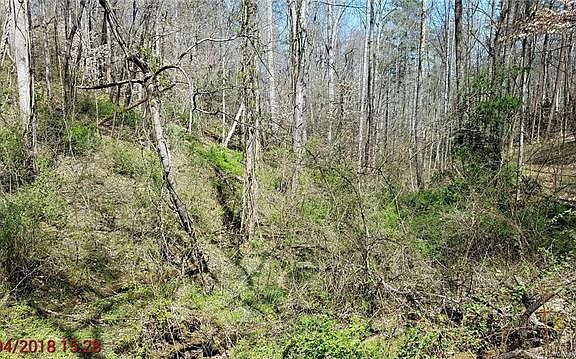 4th image of 00 Hemlock Ln