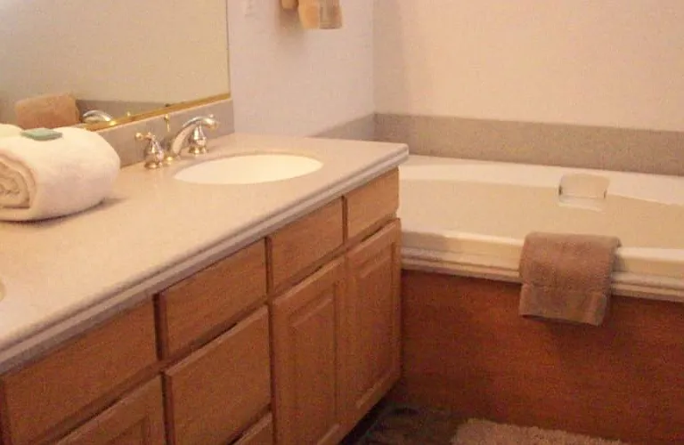 Shower, bathtub and dual sinks in Master Bathroom #1