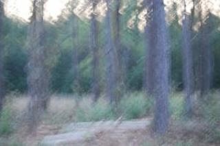1st image of 2363 Hendersonville Hwy
