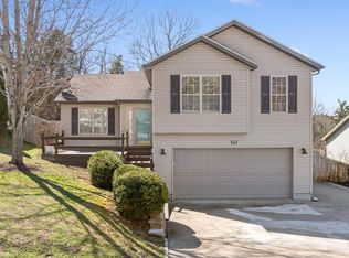 167 Richmond Heights Blvd, Branson, MO 65616