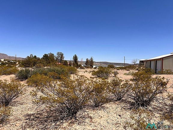 4th image of Pinto Trl