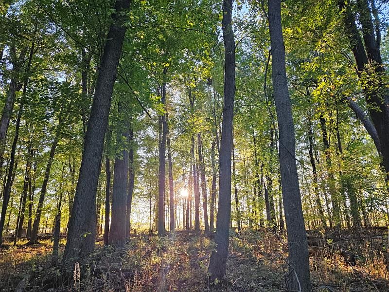 1st image of 0 Kilgore Rd