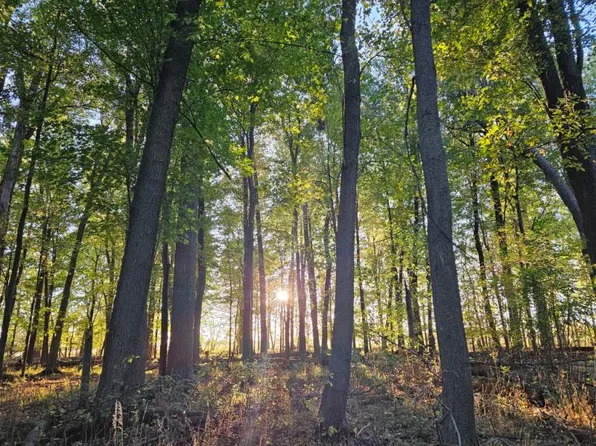0 Kilgore Rd, Croswell, MI 48422