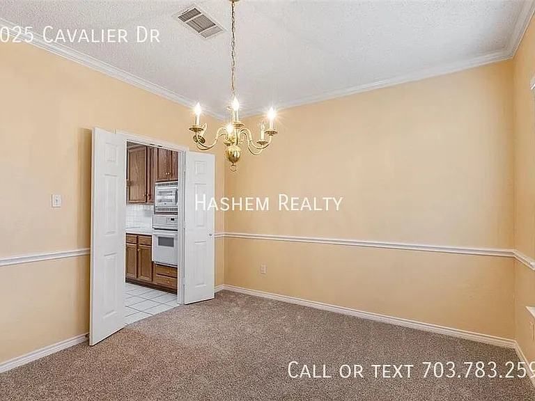 8025 Cavalier Dr — Photo 9