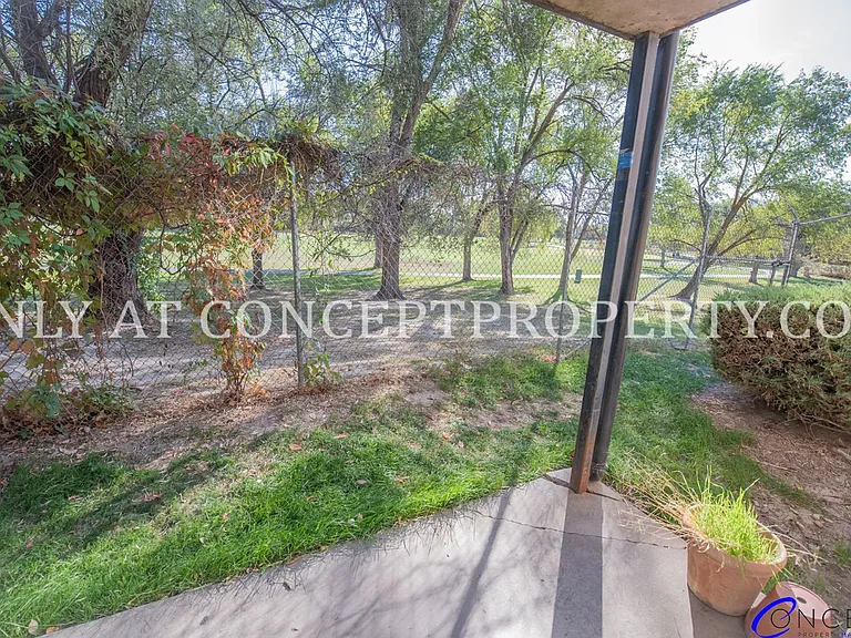 Ponderosa — Photo 115
