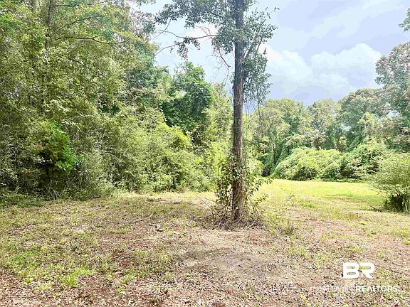 2nd image of 4599 Brushy Creek Rd