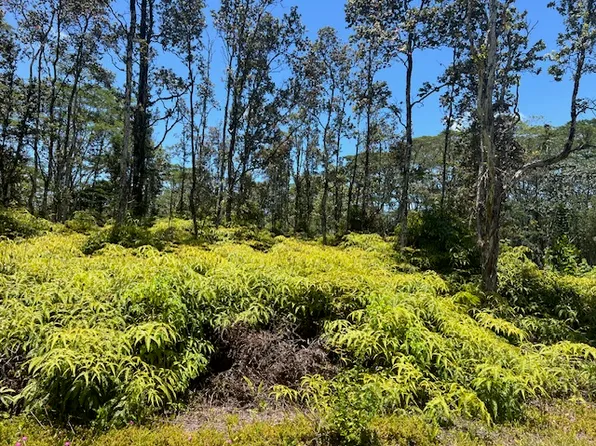 Plumeria Rd Lot 187, Pahoa, HI 96778