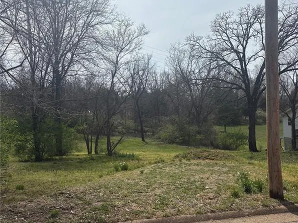 303 Congress St, Park Hills, MO 63601