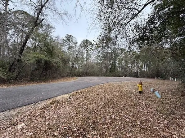 V/l 40 Satilla River Lndg, Woodbine, GA 31569