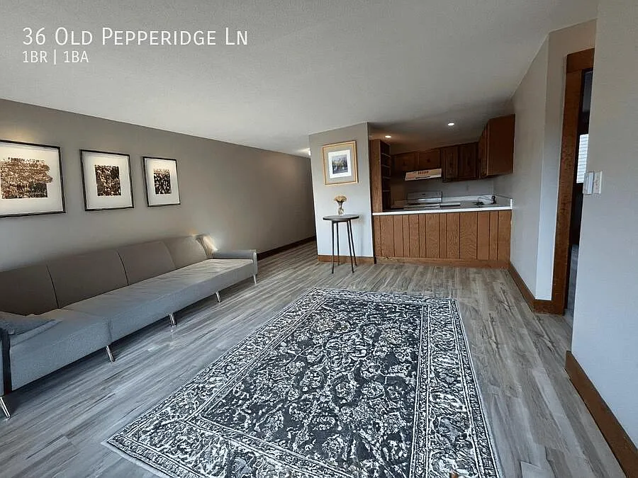 Modern 1BR Apartment in Wethersfield Available Now — Photo 4